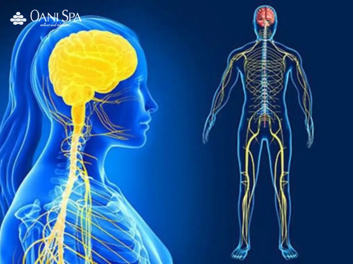 xoa bóp bấm huyệt xoa bóp bấm huyệt