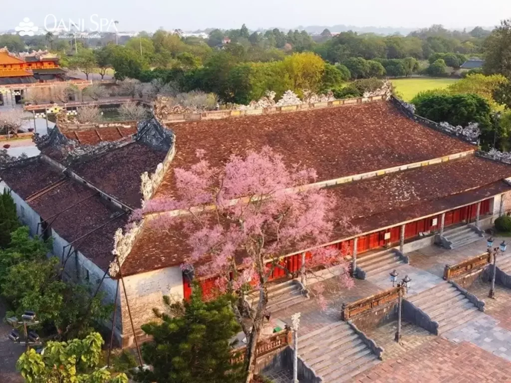 Điện Thái Hoà Điện Thái Hòa