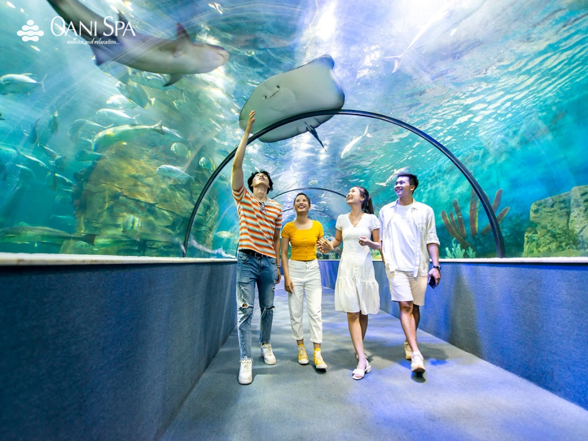 bảo tàng thiên nhiên việt nam