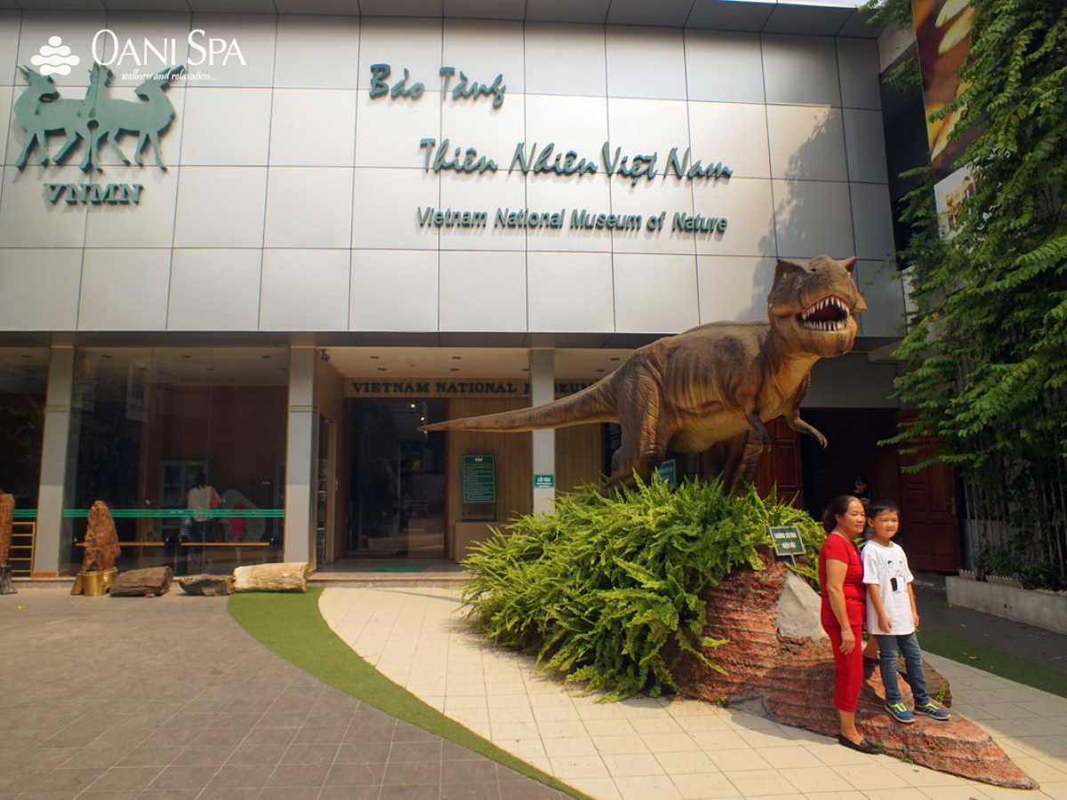 bảo tàng thiên nhiên việt nam