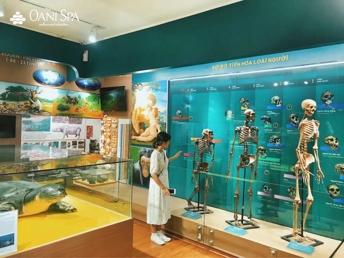 bảo tàng thiên nhiên việt nam