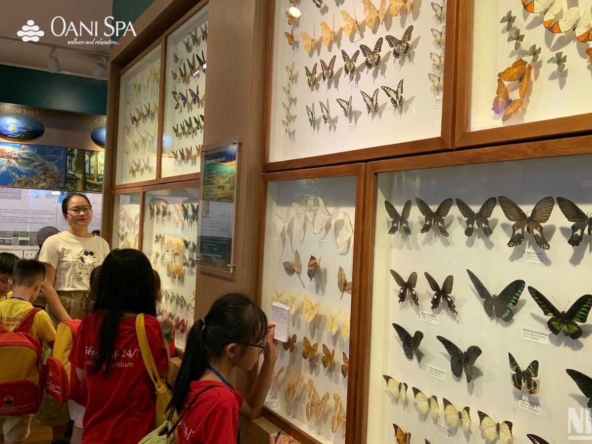 bảo tàng thiên nhiên việt nam