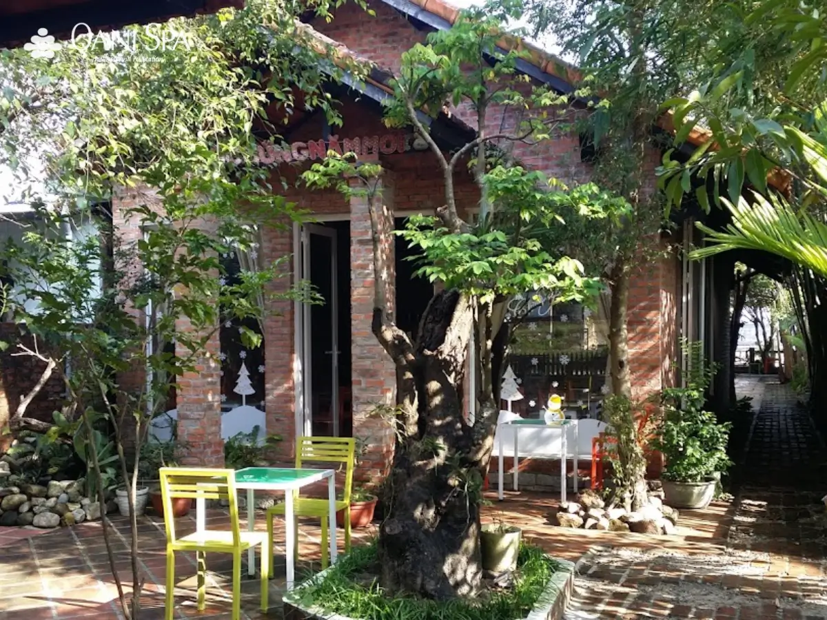 cafe đèo Hải Vân
