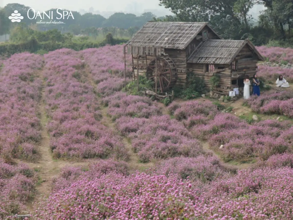 Địa điểm chụp ảnh đẹp ở Hà Nội