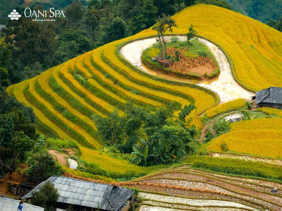 địa điểm du lịch miền bắc