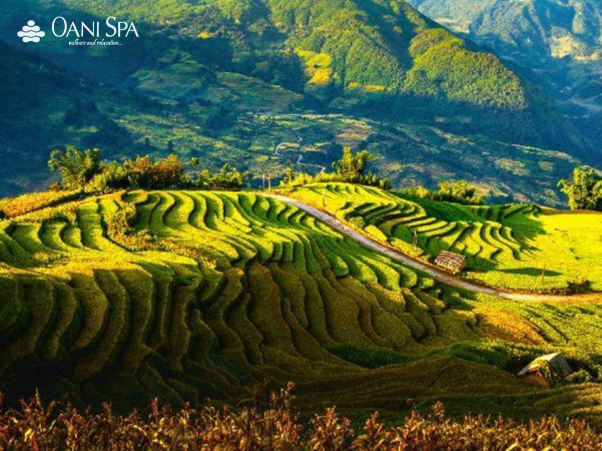 địa điểm du lịch miền bắc