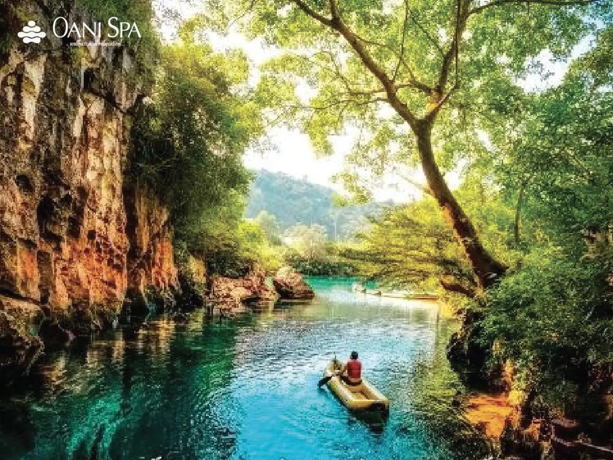 động phong nha kẻ bàng động phong nha kẻ bàng