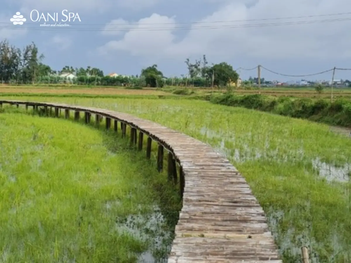 lò gạch cũ hội an lò gạch cũ hội an