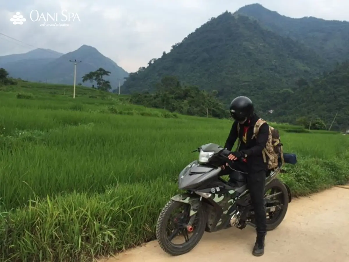 lò gạch cũ hội an lò gạch cũ hội an