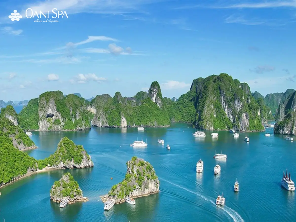 những địa điểm du lịch nổi tiếng ở Việt Nam