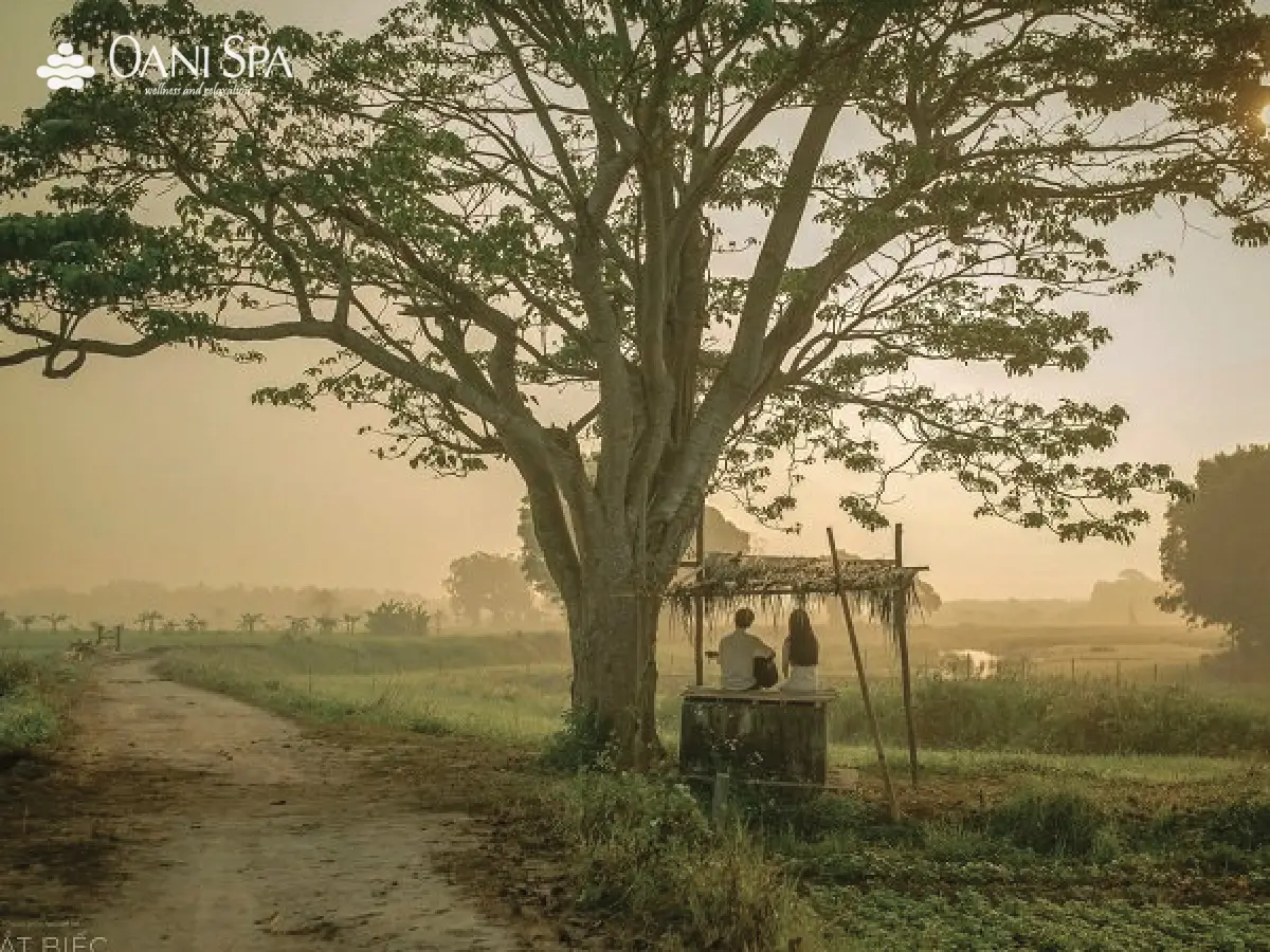 thôn vĩ dạ huế thôn vĩ dạ huế