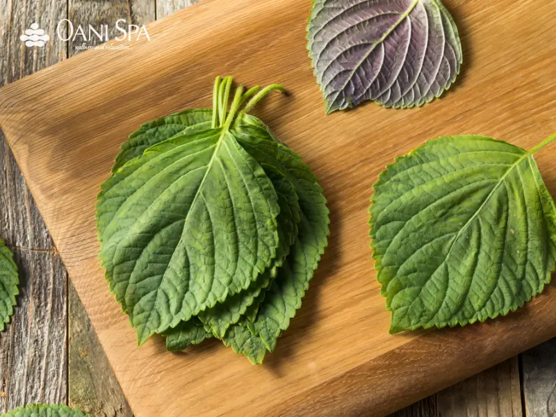 Cách chăm sóc da tại nhà với lá tía tô
