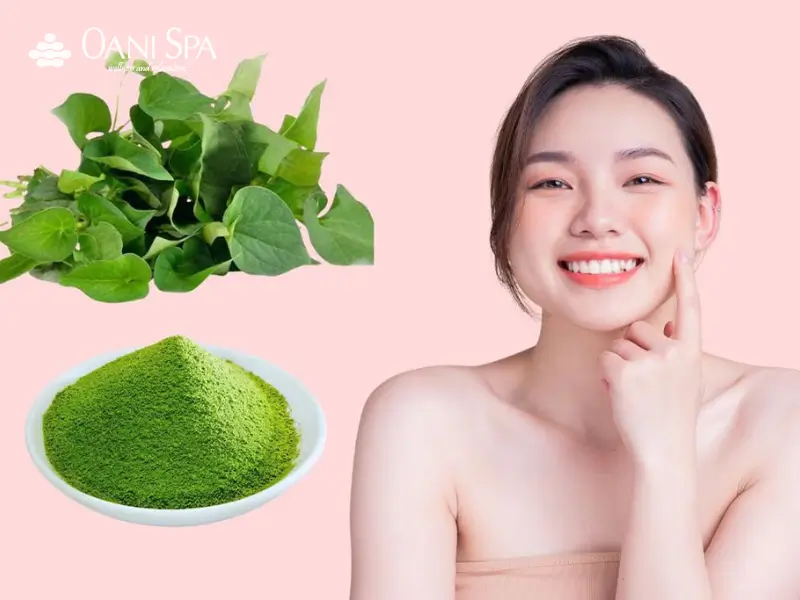 Cách chăm sóc da tại nhà với diếp cá