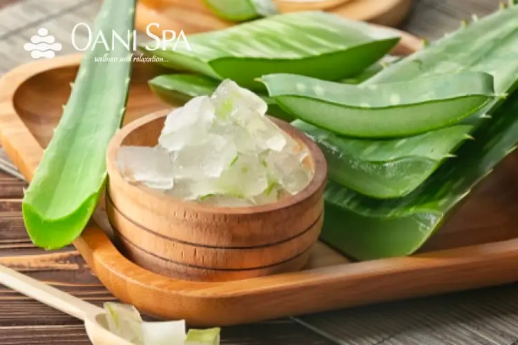 chăm sóc da mặt sau sinh Nha đam là một nguồn cung cấp độ ẩm tự nhiên