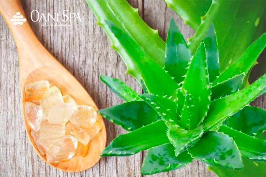 Tác dụng của việc tẩy tế bào chết nha đam