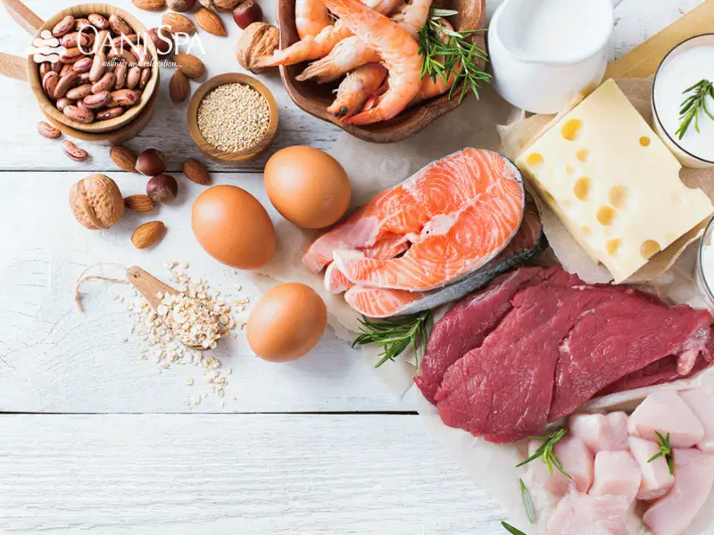 Tác dụng của vitamin B12 Liều lượng bổ sung vitamin B12 hợp lý