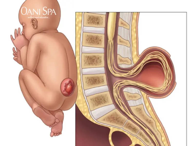 Tác dụng của vitamin B12 Giảm nguy cơ dị tật bẩm sinh ở thai nhi