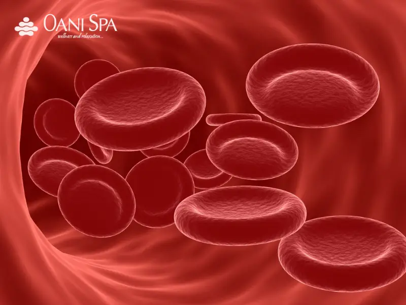 tác dụng của Vitamin B6 Ngăn ngừa, điều trị thiếu máu