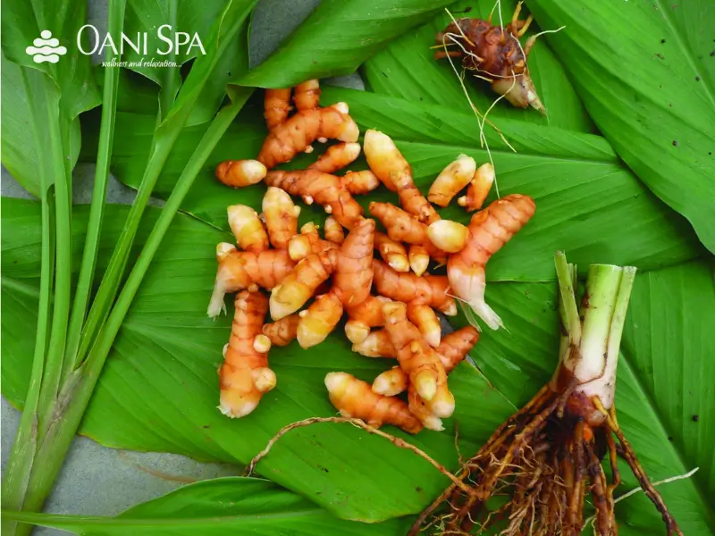 ngâm chân thảo dược nào tốt Những loại thảo dược ngâm chân nào tốt