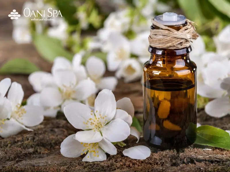 tinh dầu massage body loại nào tốt Tinh dầu hoa nhài
