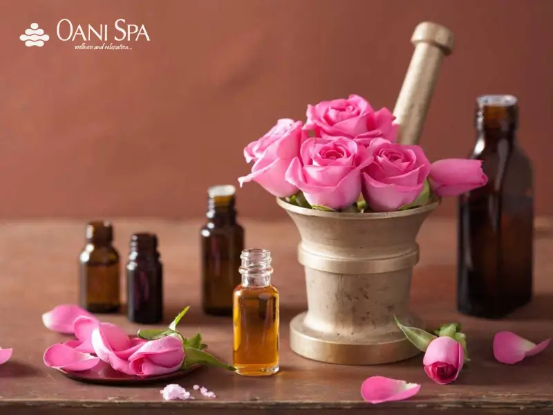 tinh dầu massage body loại nào tốt Tinh dầu hoa hồng