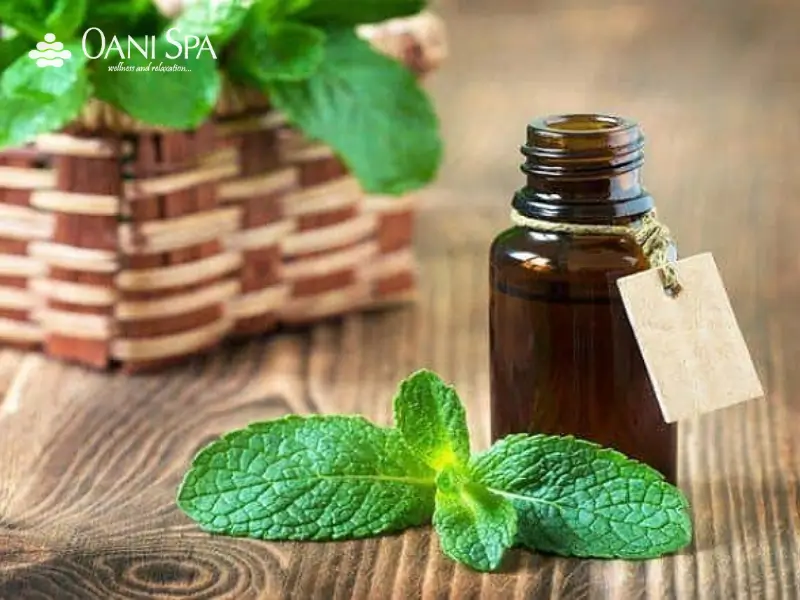 tinh dầu massage body loại nào tốt Tinh dầu bạc hà