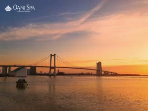 cầu Thuận Phước Đà Nẵng