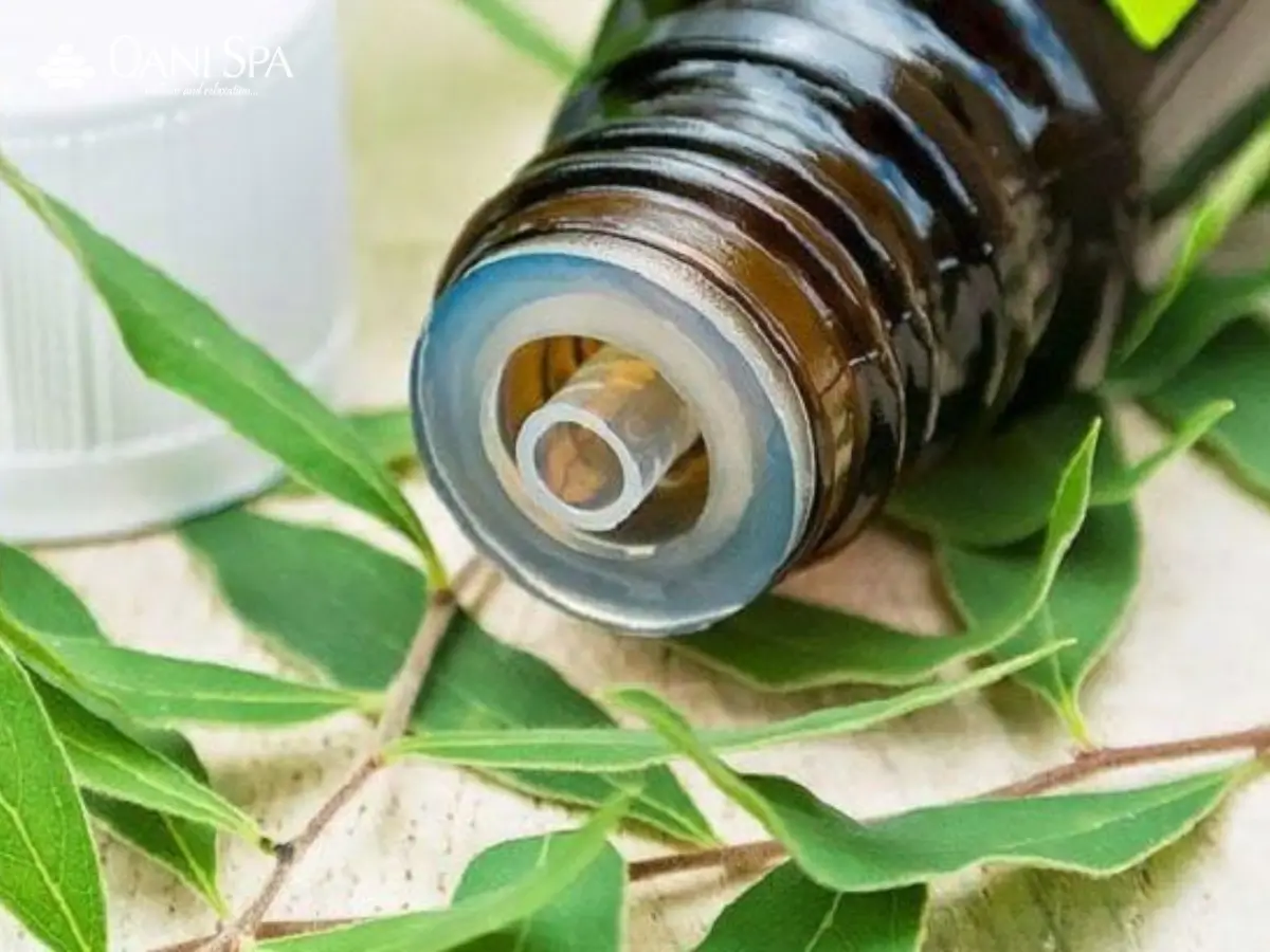 dầu tràm Huế