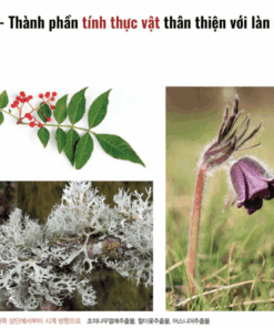 Huyết thanh EGF Revitalize Serum