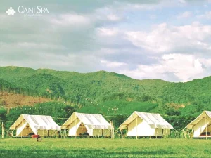 picnic Đà Nẵng