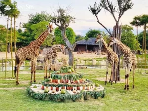 Sở thú Đà Nẵng