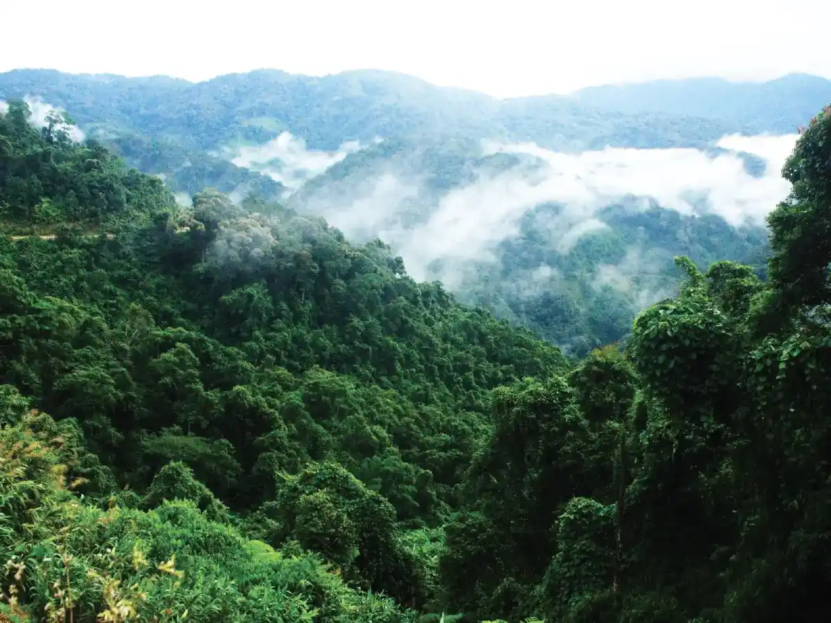 tây giang quảng nam