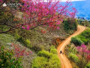 địa điểm du lịch miền bắc