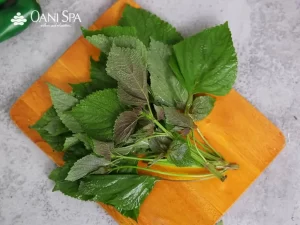 Xông mặt bằng lá tía tô có tác dụng gì