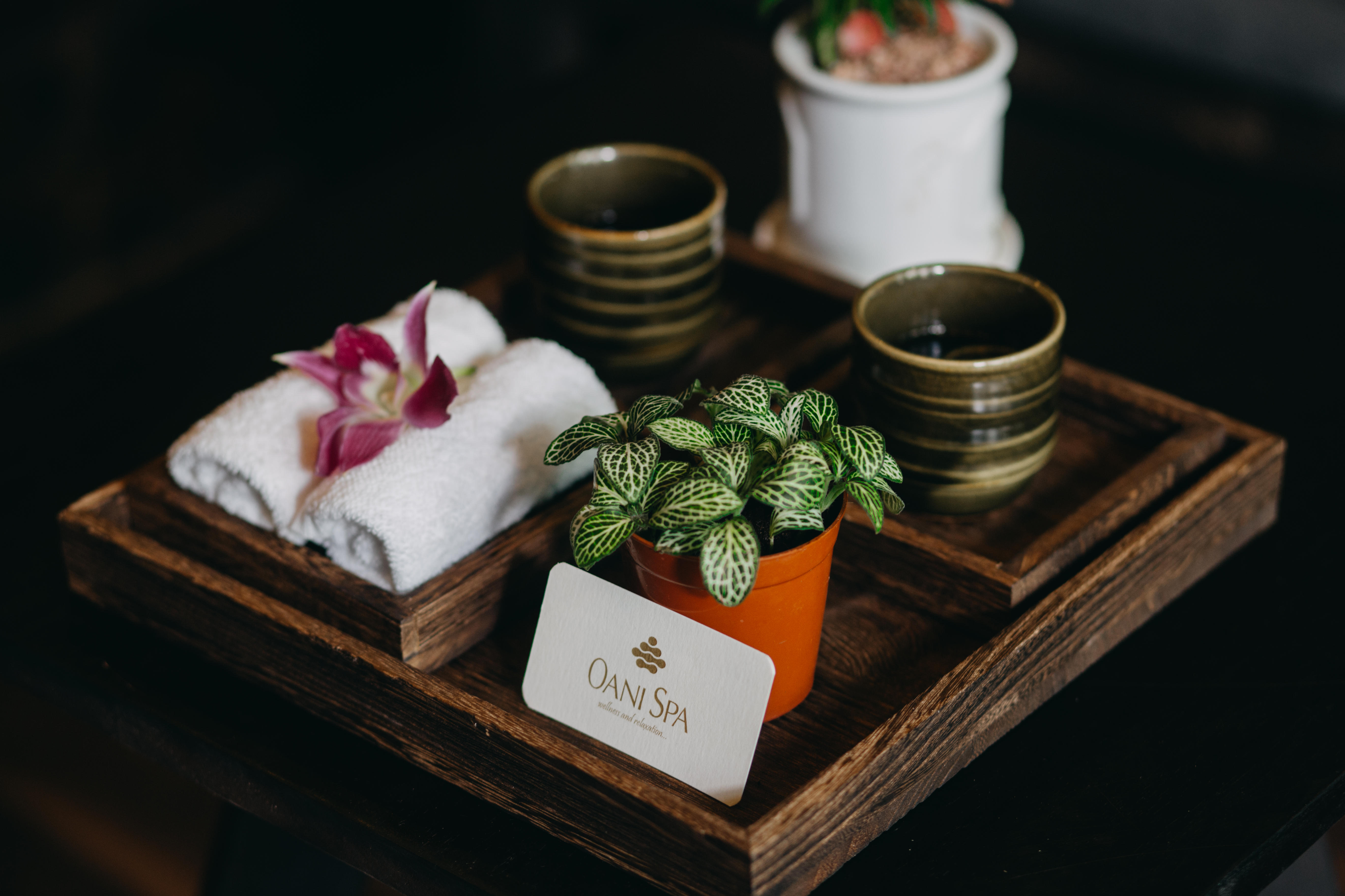 Oani Spa - 岘港最佳水疗中心