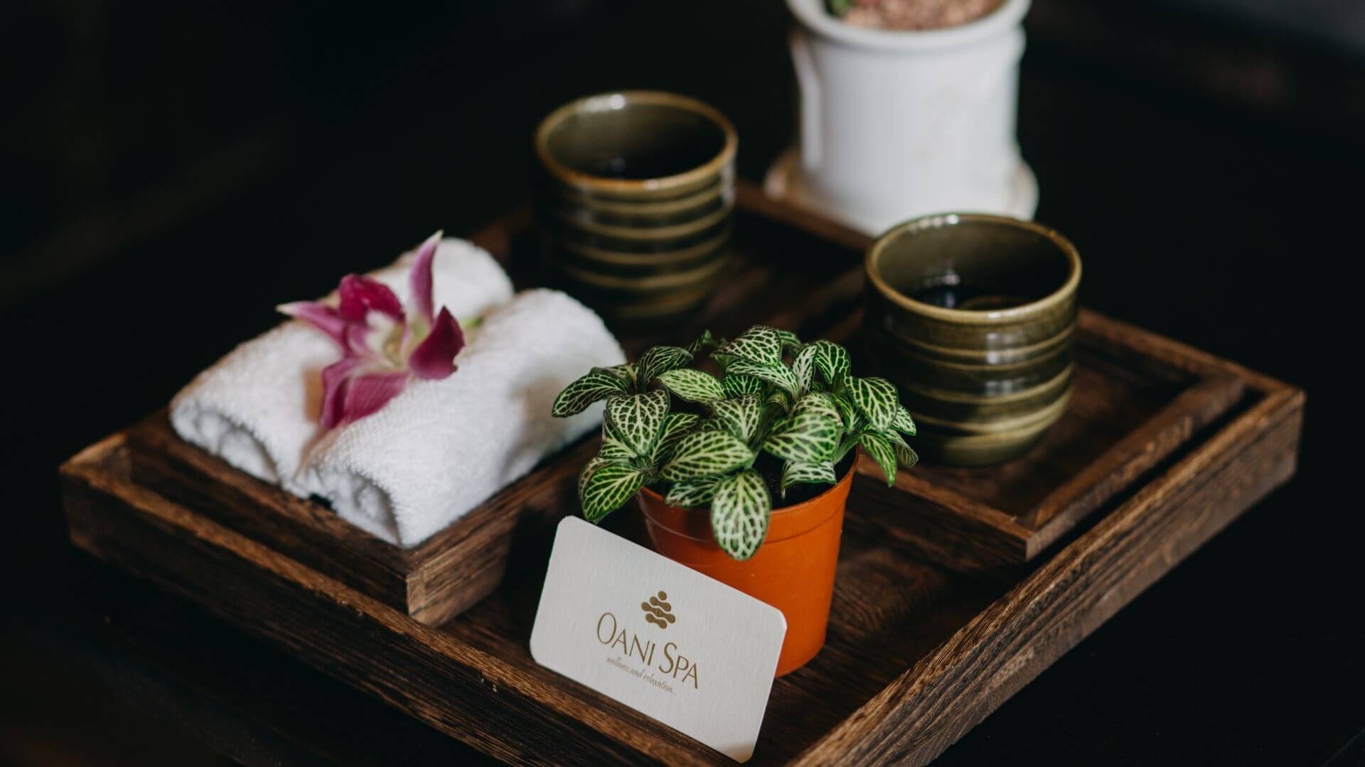 Best Spa Massage in Da Nang