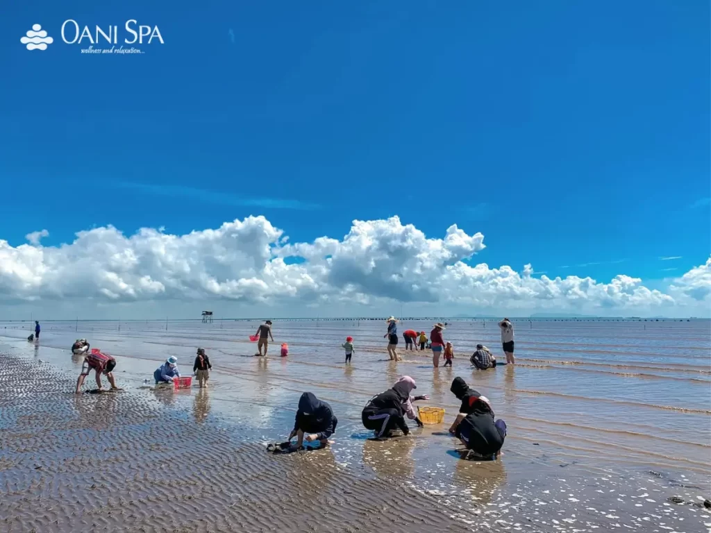 biển tân cảnh dương