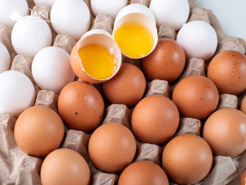 Chăm sóc da mặt bằng trứng gà