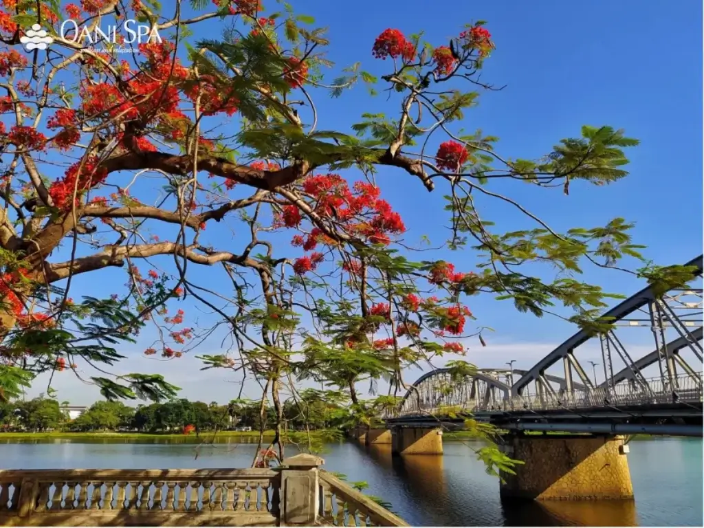 cầu Tràng Tiền Huế