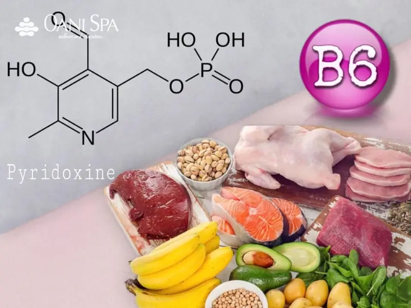 tác dụng của Vitamin B6 Tác dụng của vitamin b6