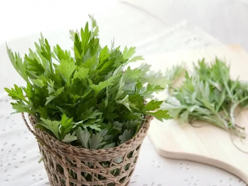 Thảo dược ngâm chân nào tốt